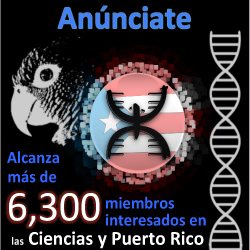 Anunciate con nosotros